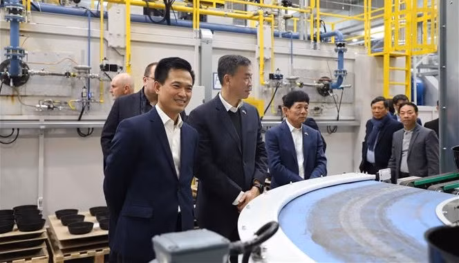 Overseas Vietnamese, businessmen help boost friendship with Czech Republic: diplomat ảnh 2