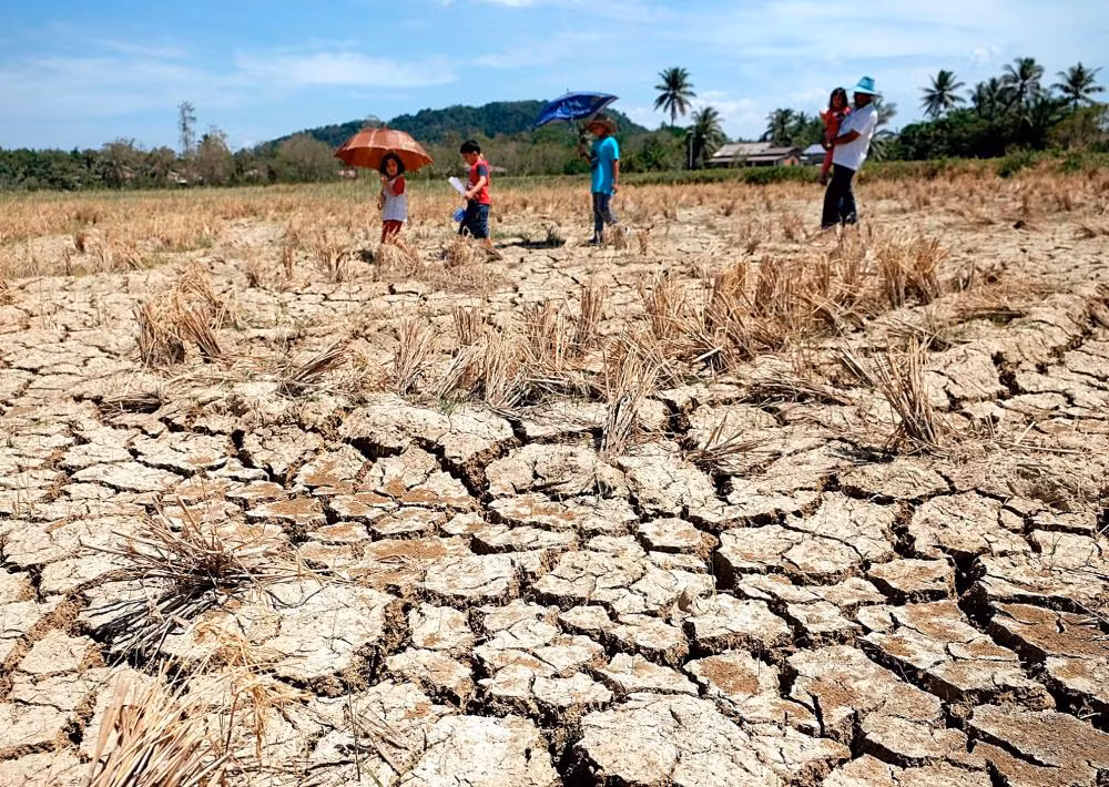 El Nino costs Philippine agriculture up to nearly 19 mln USD ảnh 1 El Nino costs Philippine agriculture up to nearly 19 mln USD ảnh 1