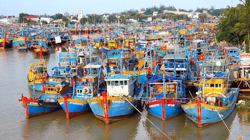  Kien Giang makes efforts to overcome EC warnings against illegal fishing ảnh 1
