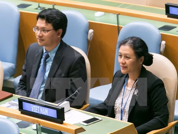 Vietnam calls for prevention of water-related conflicts ảnh 1 Vietnam calls for prevention of water-related conflicts ảnh 1