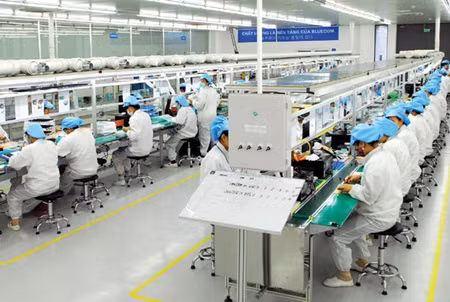 Vietnam seeks to match ASEAN productivity ảnh 1