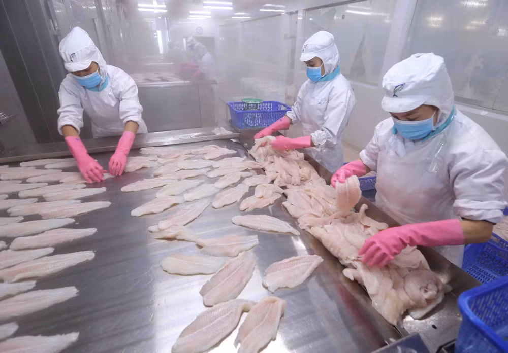 Japan among top 10 importers of Vietnam’s tra fish for first time ảnh 1