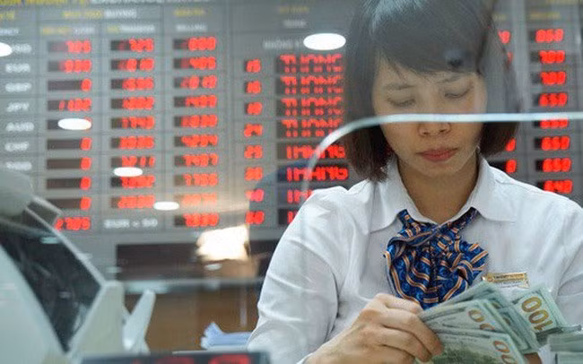 Central bank buys 8.35 billion USD to build foreign reserves ảnh 1