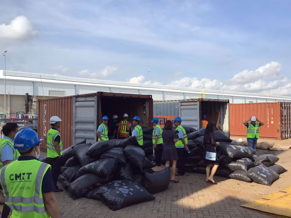 Over 5 tonnes of pangolin scales discovered in Ba Ria-Vung Tau ảnh 1