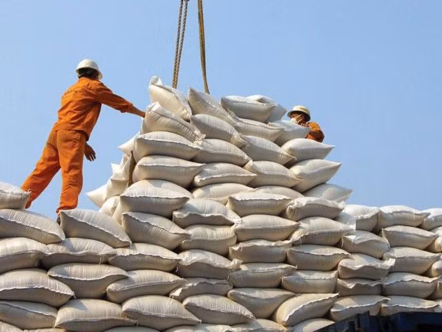 Vietnam looks to export more rice to China ảnh 1