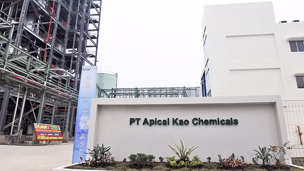 Japanese household products maker opens fatty acid plant in Indonesia ảnh 1