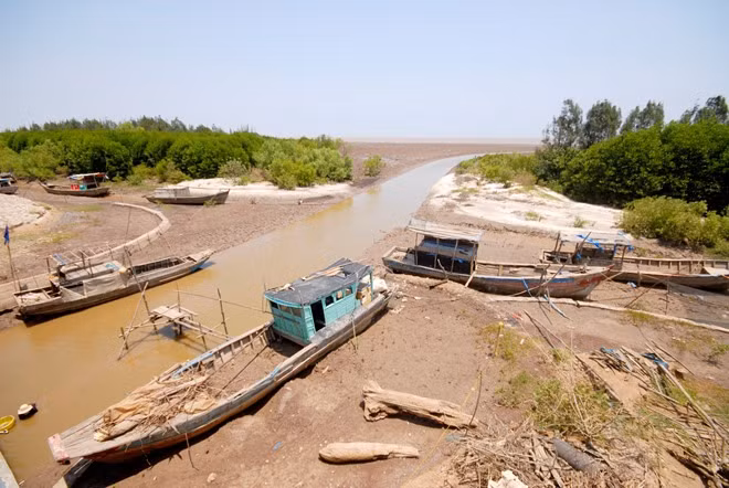 Tien Giang’s coastal area manages to cope with drought ảnh 1