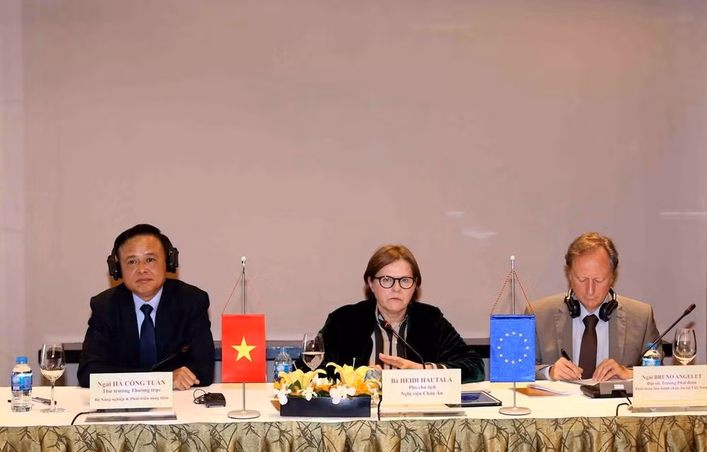 VPA/FLEGT to take effect in early June 2019 ảnh 1