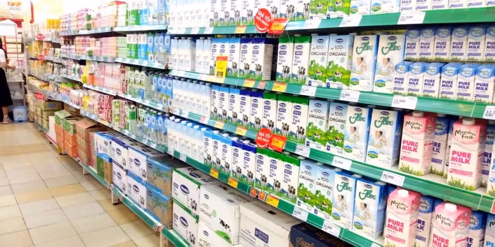 Vietnam’s dairy industry to boost exports ảnh 1 Vietnam’s dairy industry to boost exports ảnh 1