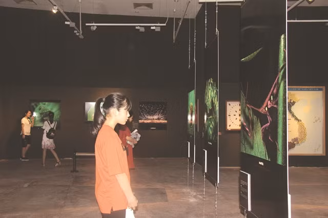 Exhibition zooms in on world of insects ảnh 1