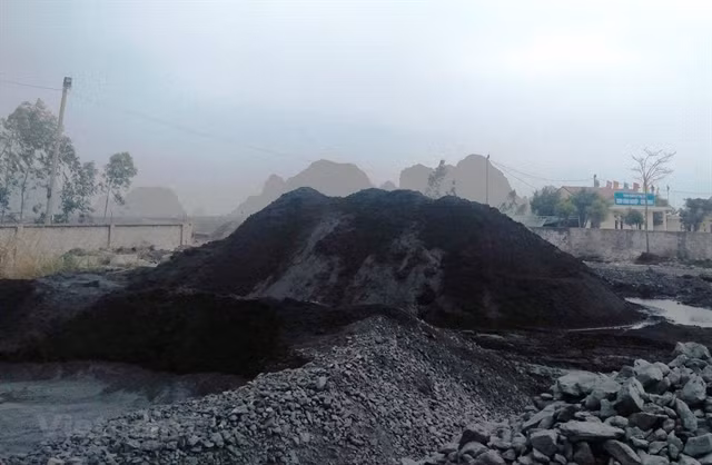 Team established to supervise charcoal exploitation ảnh 1