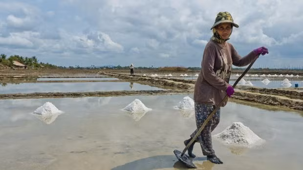 Cambodia may face salt shortage this year ảnh 1 Cambodia may face salt shortage this year ảnh 1