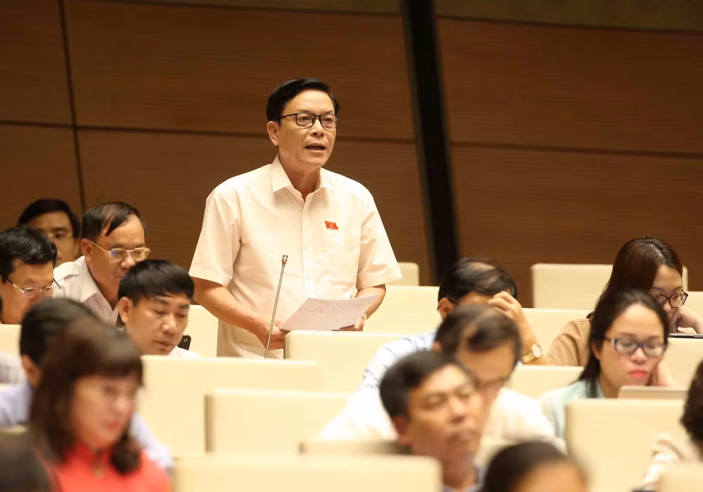 NA looks into urban land-related policies, law implementation ảnh 1