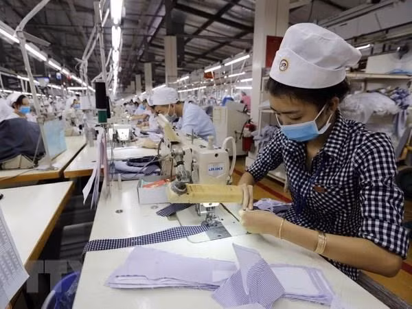 Wholesale, retail, vehicle repair see highest number of new firms: GSO ảnh 1