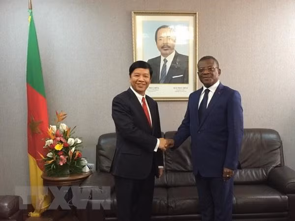 Vietnam hopes for stronger cooperation with Cameroon ảnh 1