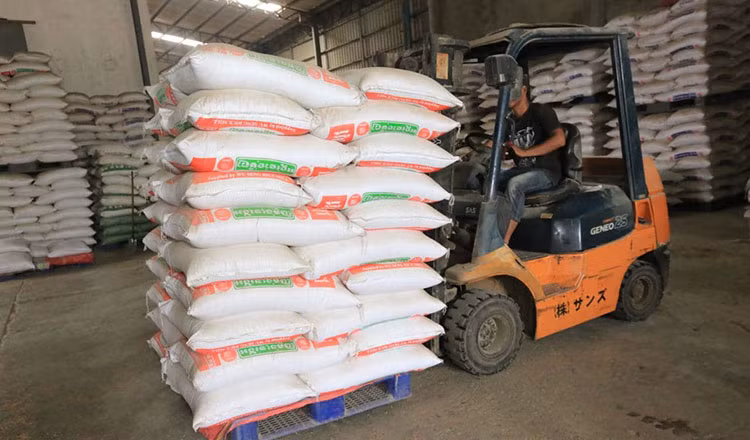 Cambodia’s rice exports up over 13% in eight months ảnh 1