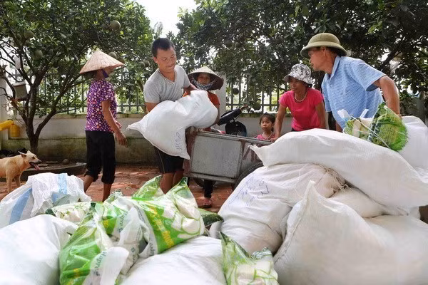 Rice aid to be delivered to the needy in Soc Trang, Nghe An ảnh 1