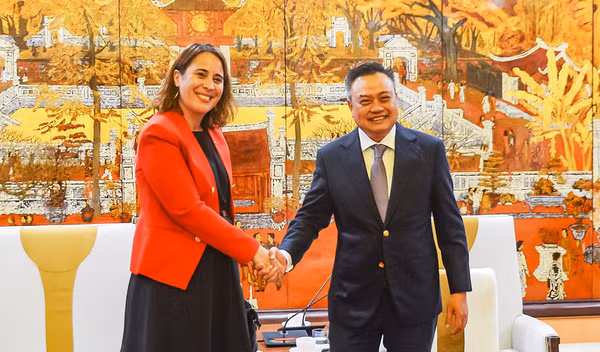 Hanoi seeks stronger partnership with Denmark, New Zealand ảnh 2