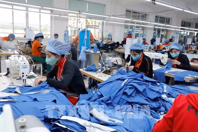 Garment, textile, footwear industries face declining in orders ảnh 1