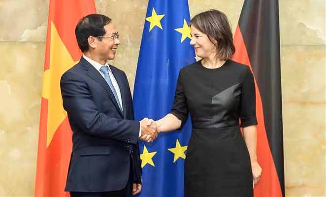 Foreign Minister Bui Thanh Son pays visit to Germany ảnh 1