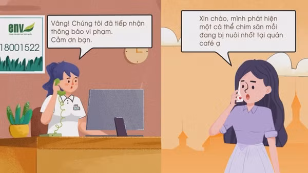 Short film calls for report on wildlife violations ảnh 2
