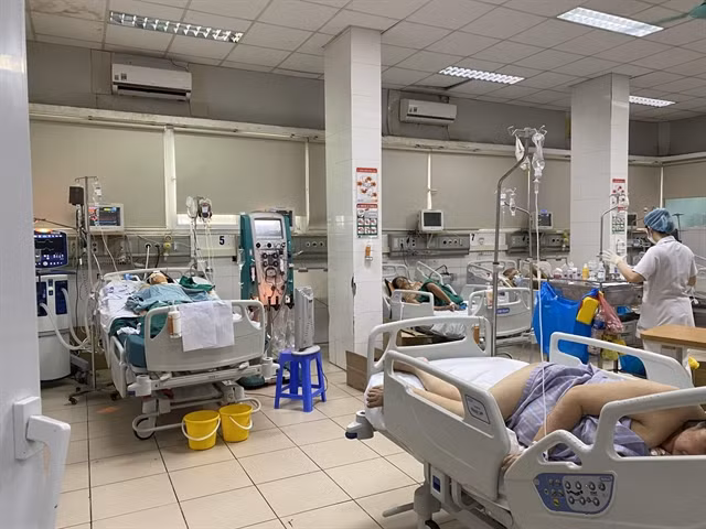 Hanoi faces high risk of dengue fever outbreak ảnh 1 Hanoi faces high risk of dengue fever outbreak ảnh 1