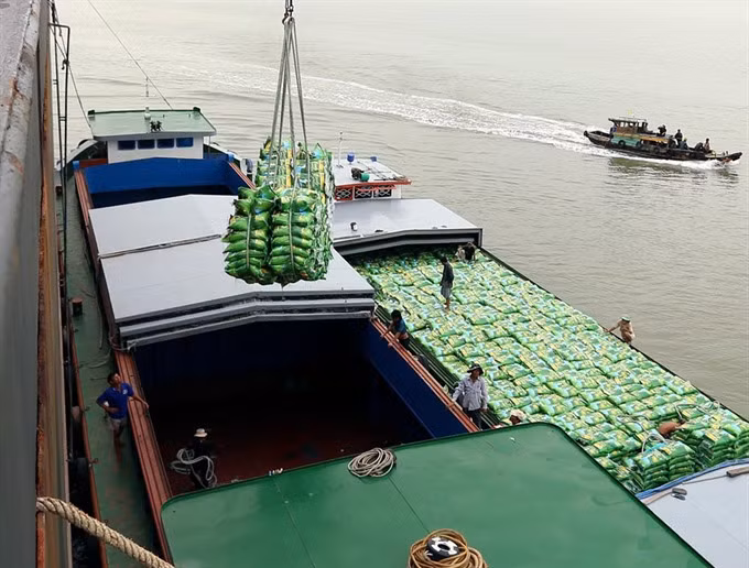Rising sea levels threaten Vietnam’s top rice producer ảnh 1