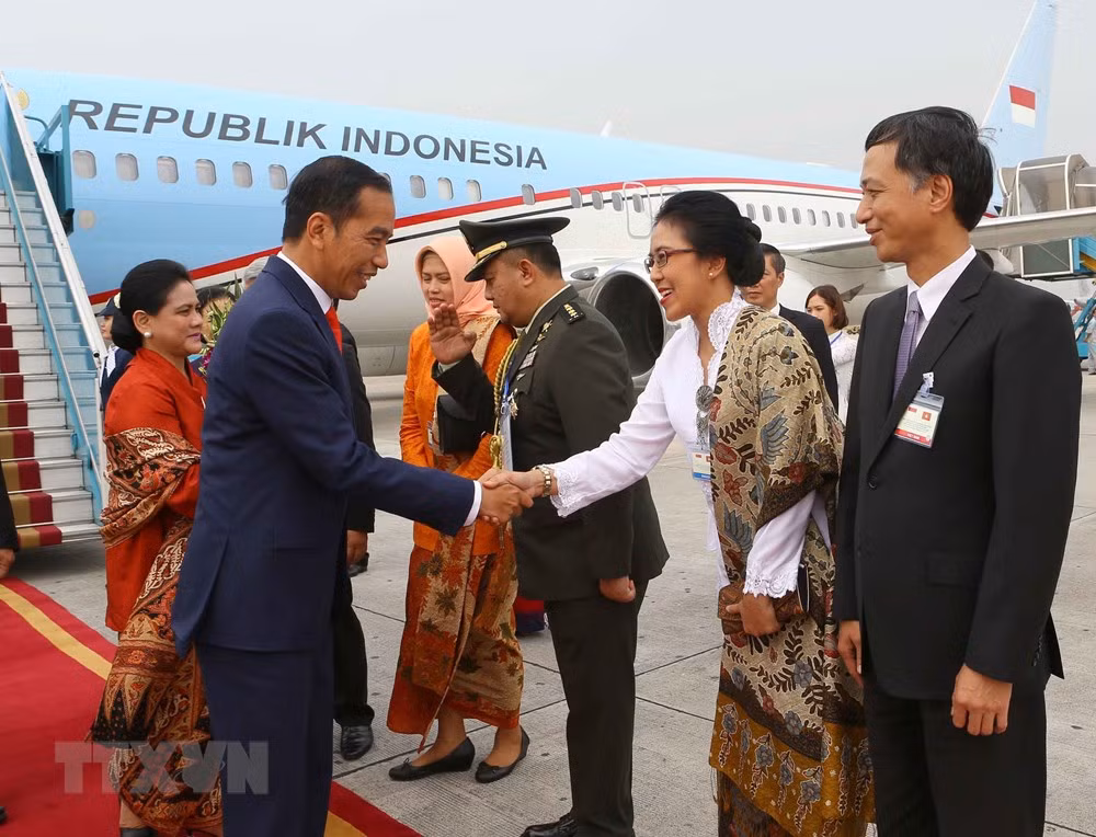 Indonesian President Widodo pays State visit to Vietnam ảnh 1