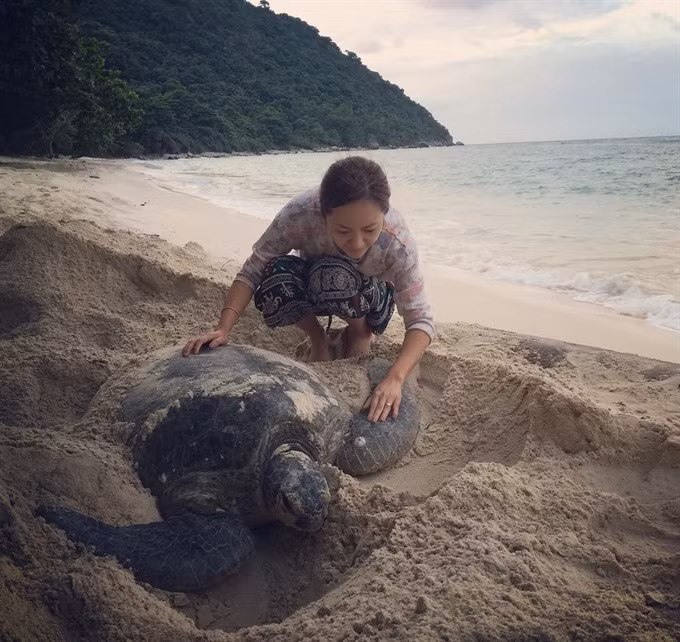 Con Dao Island pioneers sea turtle protection ảnh 1