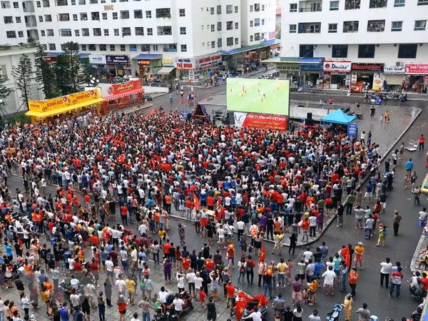 VTV wins rights to broadcast AFF Suzuki Cup 2018 ảnh 1