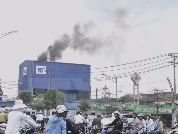 Vietnam committed to reducing greenhouse gas emissions: official ảnh 1