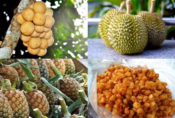 Thailand benefited from products with geographical indications ảnh 1