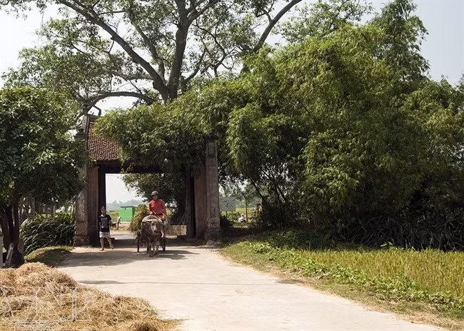 Experts discuss protecting Hanoi’s heritage ảnh 1