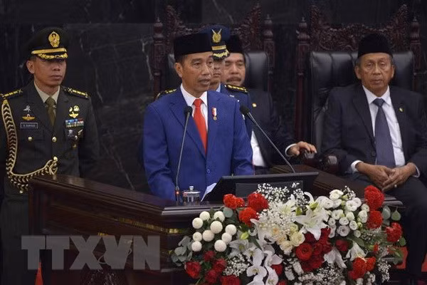 Vietnam visit by Indonesian President to push up bilateral relations ảnh 1