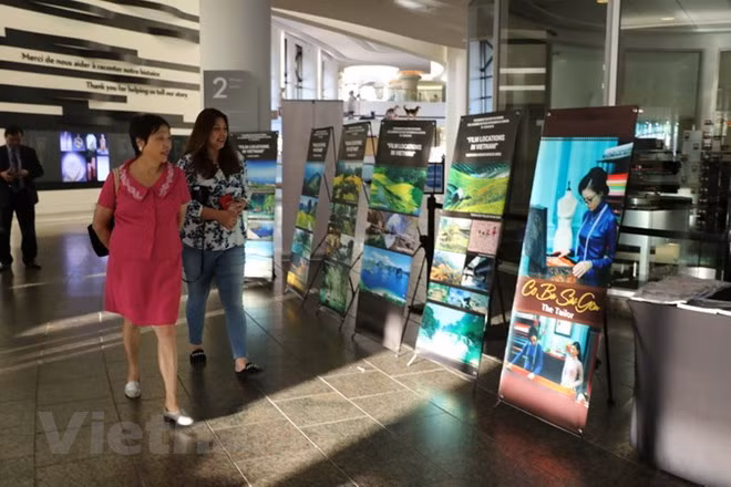 Vietnamese films screened in Canada ảnh 1