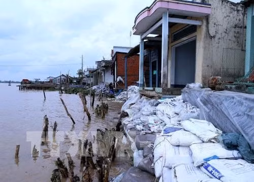 Over 18,400 people need to be relocated in Can Tho due to erosion risks ảnh 1
