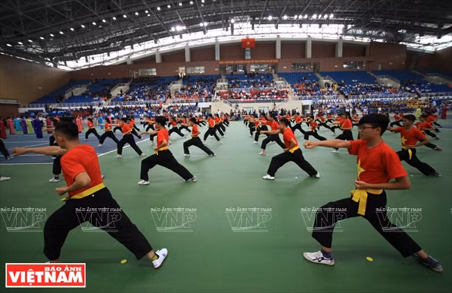 Second world championship of Vietnamese martial arts opens ảnh 1