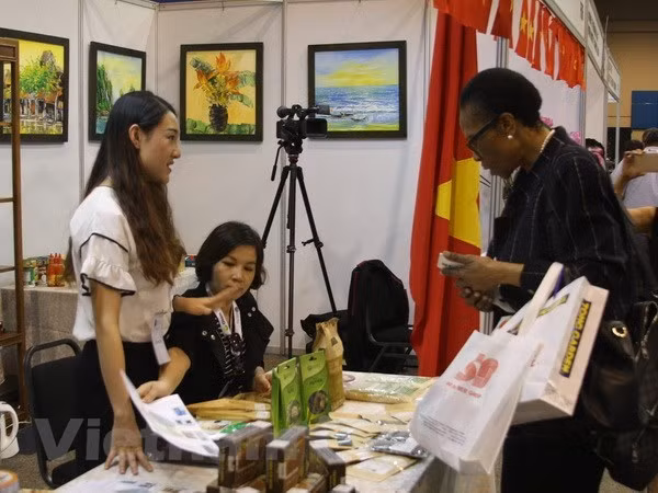 Embassy works to boost Vietnam-South Africa cooperation ảnh 1