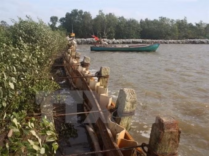 Nearly 2.6 million USD for sea embankment projects in Ca Mau ảnh 1