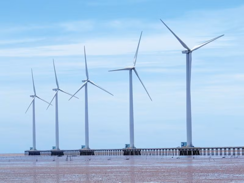 Investors eye wind power development in Soc Trang ảnh 1