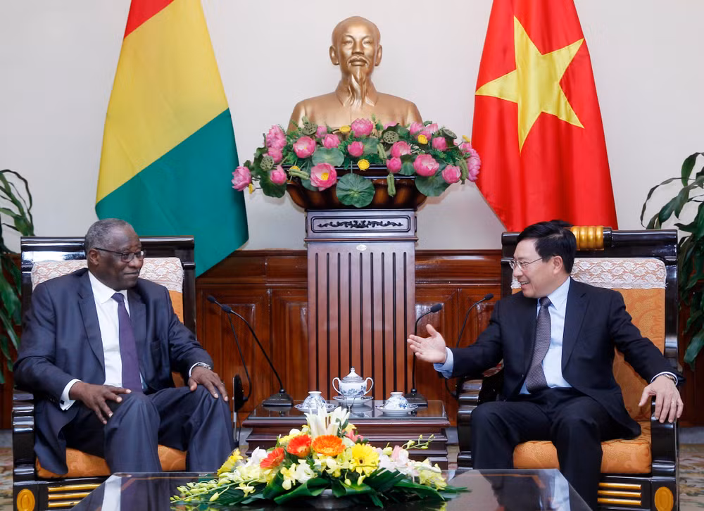 Vietnam, Guinea seek to expand cooperation ảnh 1