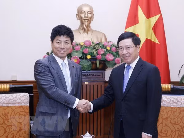 Japan’s ODA contributes to Vietnam’s socio-economic growth: Deputy PM ảnh 1