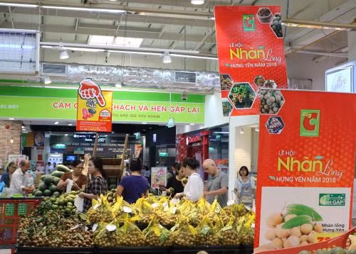 Hung Yen Longan Week to open at Big C Thang Long ảnh 1 Hung Yen Longan Week to open at Big C Thang Long ảnh 1