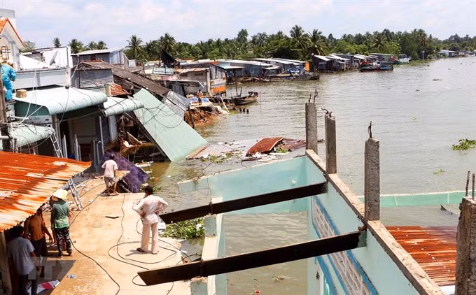 Mekong Delta province works to prevent coastal erosion ảnh 1