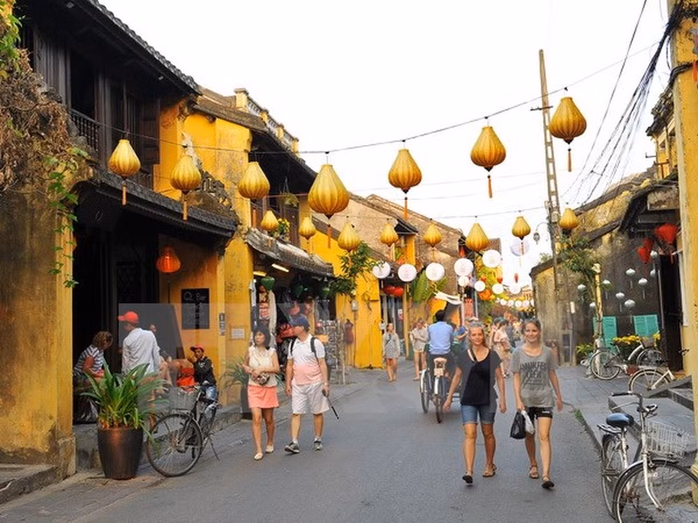  Quang Nam promotes people-to-people exchanges with Japan ảnh 1