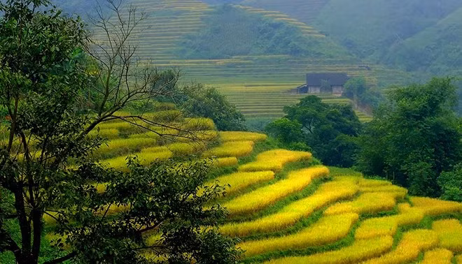 Bat Xat Fall Festival 2018 kicks off in Lao Cai ảnh 1