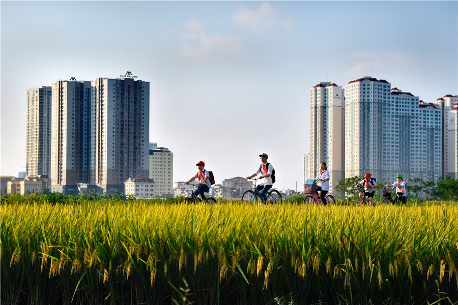 Photos on Hanoi’s suburban life on display ảnh 1