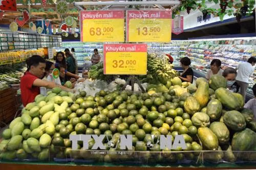 HCM aims to promote retail sector as key economic contributor ảnh 1