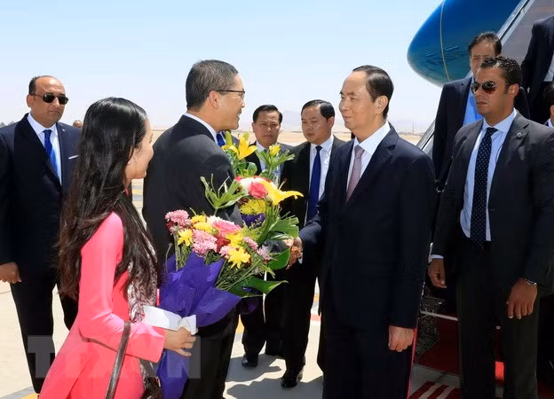President Tran Dai Quang begins State visit to Egypt ảnh 1