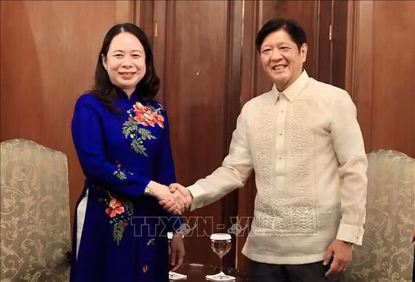 Vietnamese Vice President meets with foreign leaders in Philippines ảnh 1